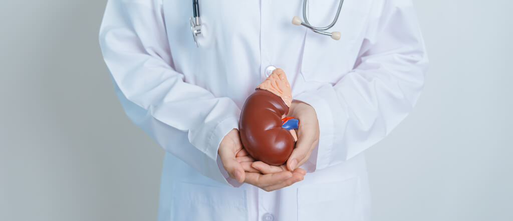 Kidney Transplant 101 What You Need to Know